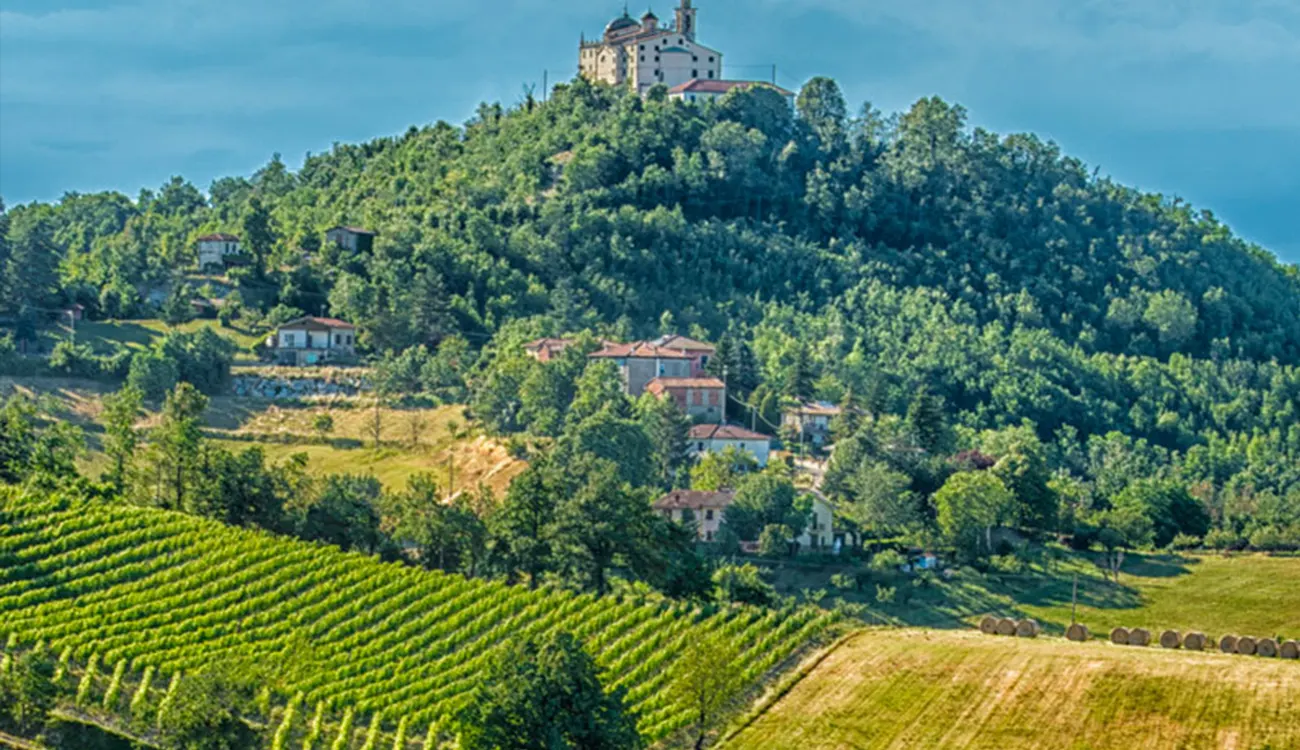 Producer - PRODUTTORI DEL GAVI