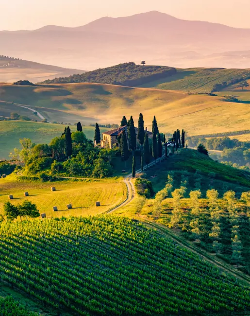 Italian winery