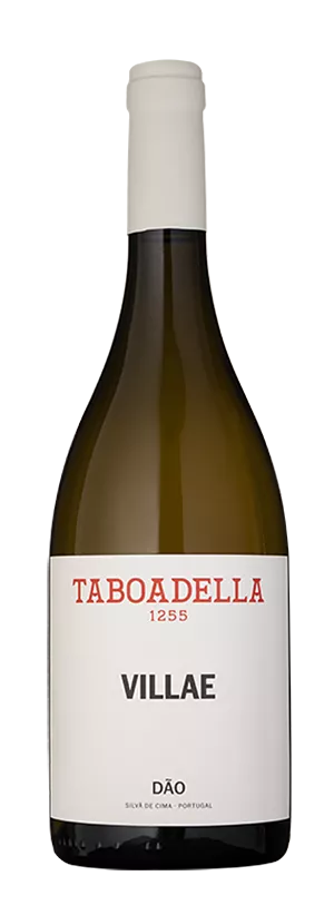 TABOADELLA VILLAE White Wine