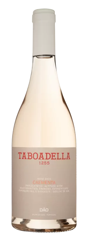 Taboadella Rose